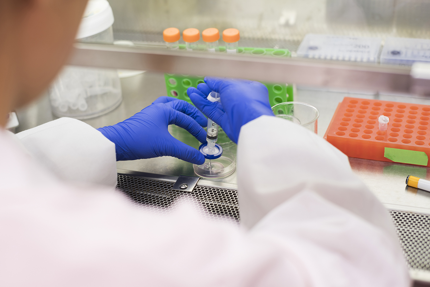 Asian scientist wearing blue gloves and a lab coat works with lab equipment, handling a syringe and petri dish inside a laboratory fume hood. Test tubes and racks are visible in the background.