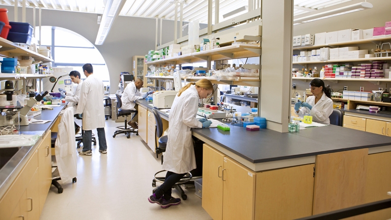 Group of laboratory technicians at work Group of laboratory technicians at work