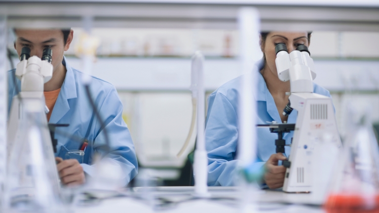 Scientists working in laboratory with microscopes