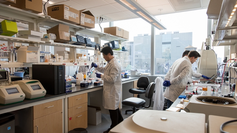 Scientists wearing lab coats and gloves work in a modern laboratory filled with equipment and tools. They are focused on various tasks at separate stations. Large windows in the background let in natural light. Scientists wearing lab coats and gloves work in a modern laboratory filled with equipment and tools. They are focused on various tasks at separate stations. Large windows in the background let in natural light.