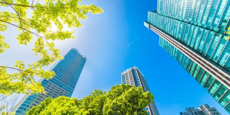 Trees, buildings, and sky